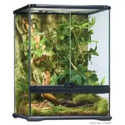 ExoTerra Glasterrarie 45x45x60 - Terrarier